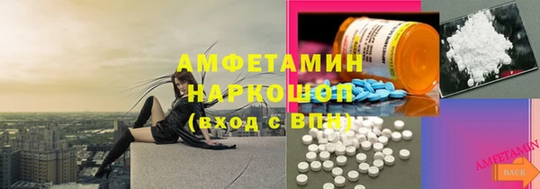 крисы Баксан