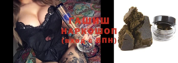 крисы Баксан