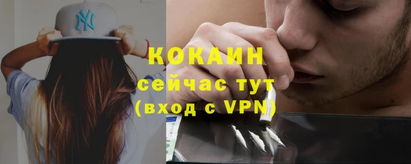 крисы Баксан