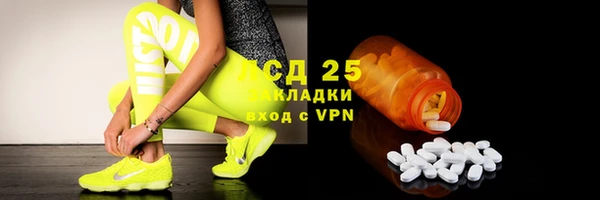 крисы Баксан
