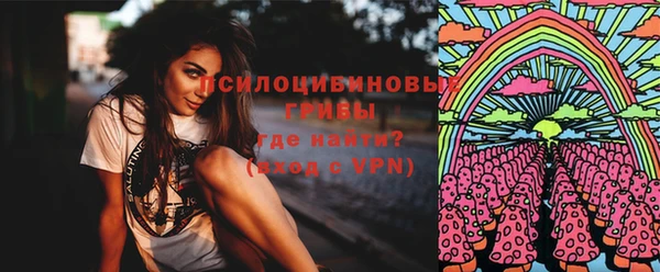 крисы Баксан