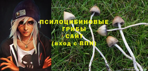 хмурый Балахна