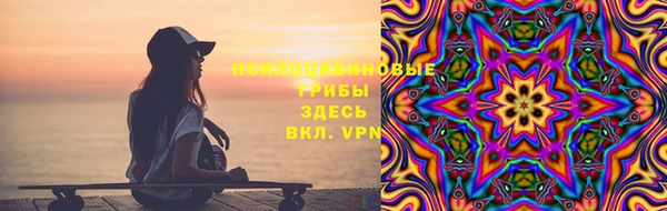 крисы Баксан