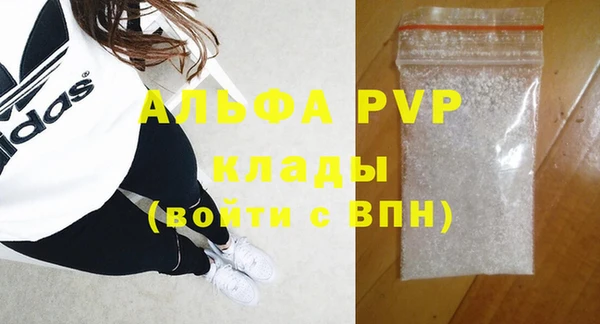 крисы Баксан