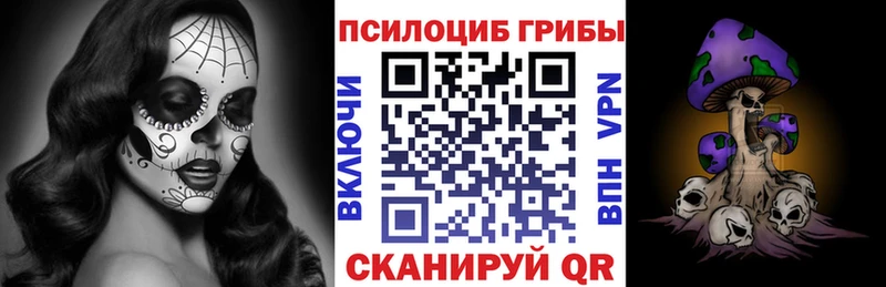 купить наркотики сайты  Новоалтайск  Галлюциногенные грибы прущие грибы 